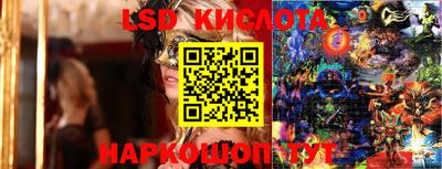 spice Кунгур