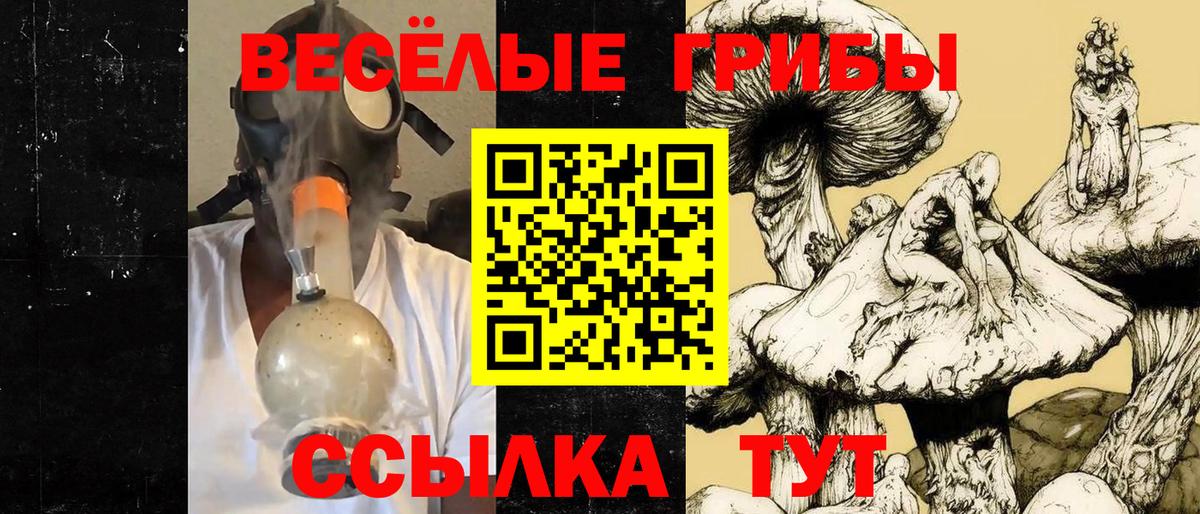 Псилоцибиновые грибы прущие грибы  Вход с VPN  Чистополь 
